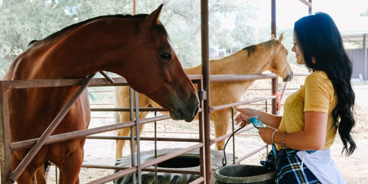 Herb-Based Dewormers: Deworming Horses Naturally (No Side Effects) - Silver Lining Herbs