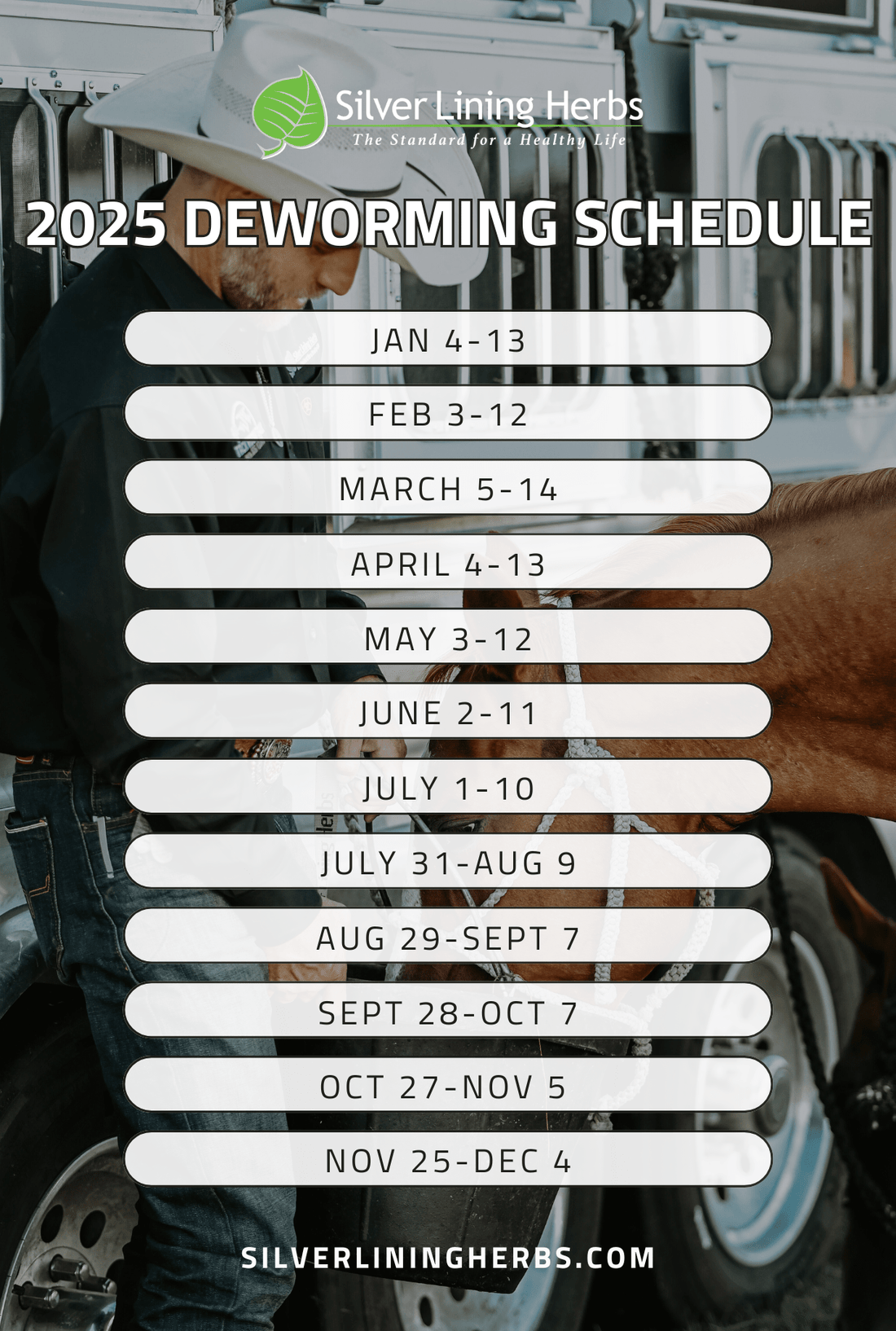 Deworming Schedule for Horses and Dogs (2025) - Silver Lining Herbs