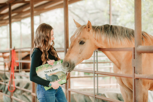 Healthy Hooves, Happy Horse: The Key to Stronger Hooves This Summer - Silver Lining Herbs