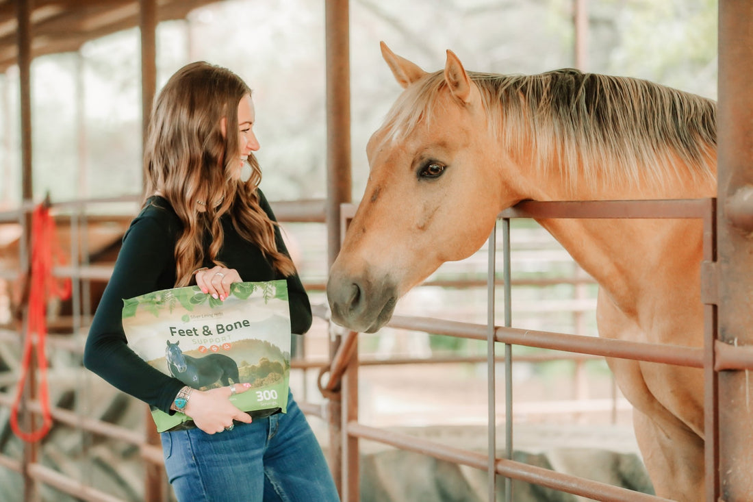 The Importance of Pairing Feet & Bone Support with Kidney Support for Optimal Equine Health - Silver Lining Herbs