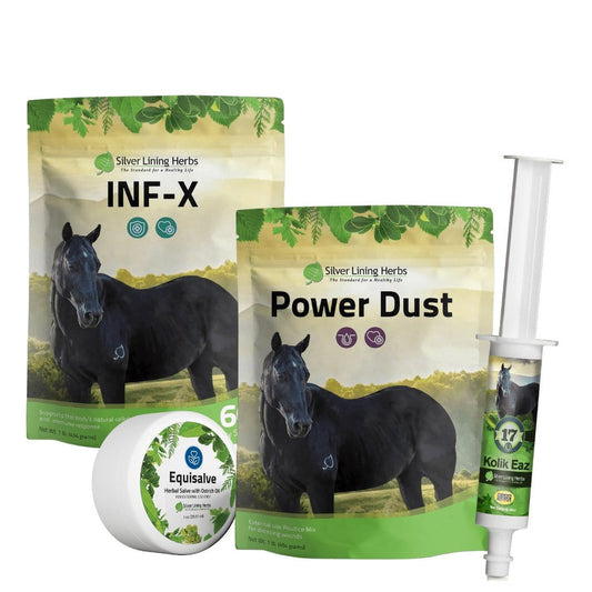 Emergency Kit Bundle for Horses - Silver Lining Herbs