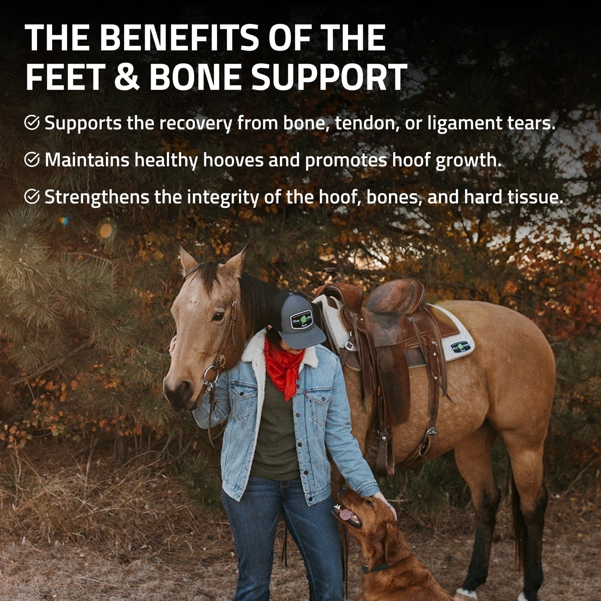 Feet & Bone Support for Horses - Silver Lining Herbs