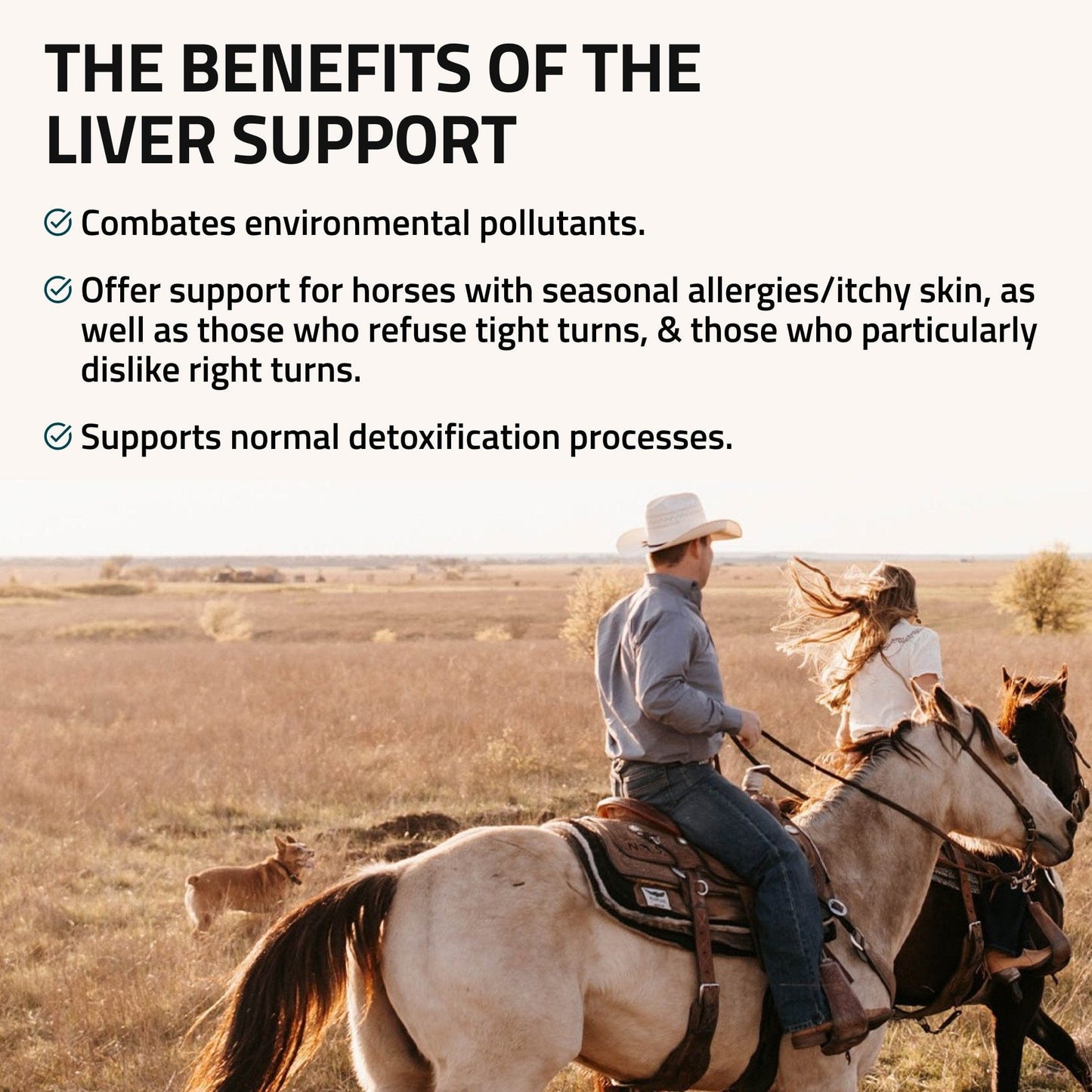 Liver Support for Horses - Silver Lining Herbs