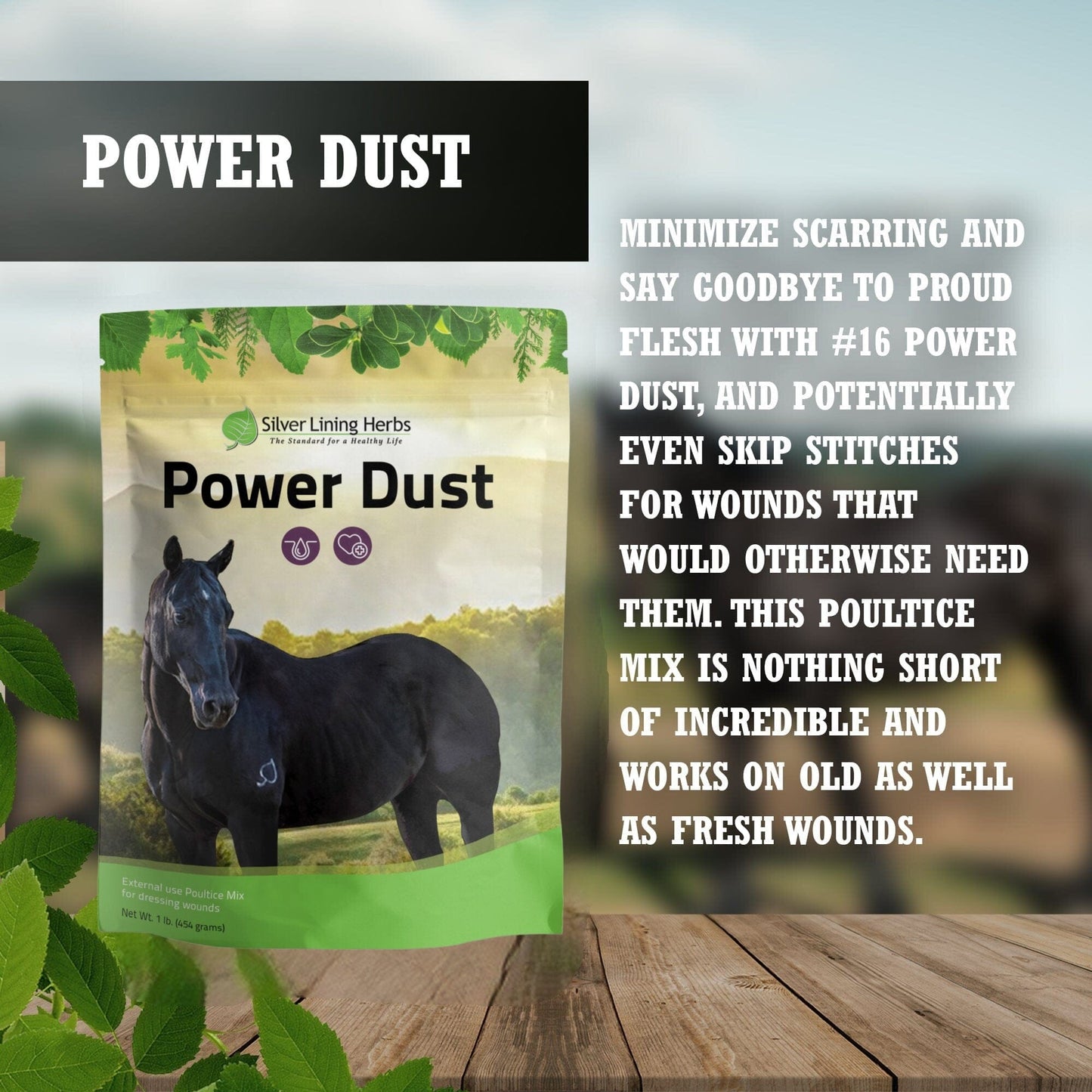 Power Dust for Horses - Silver Lining Herbs