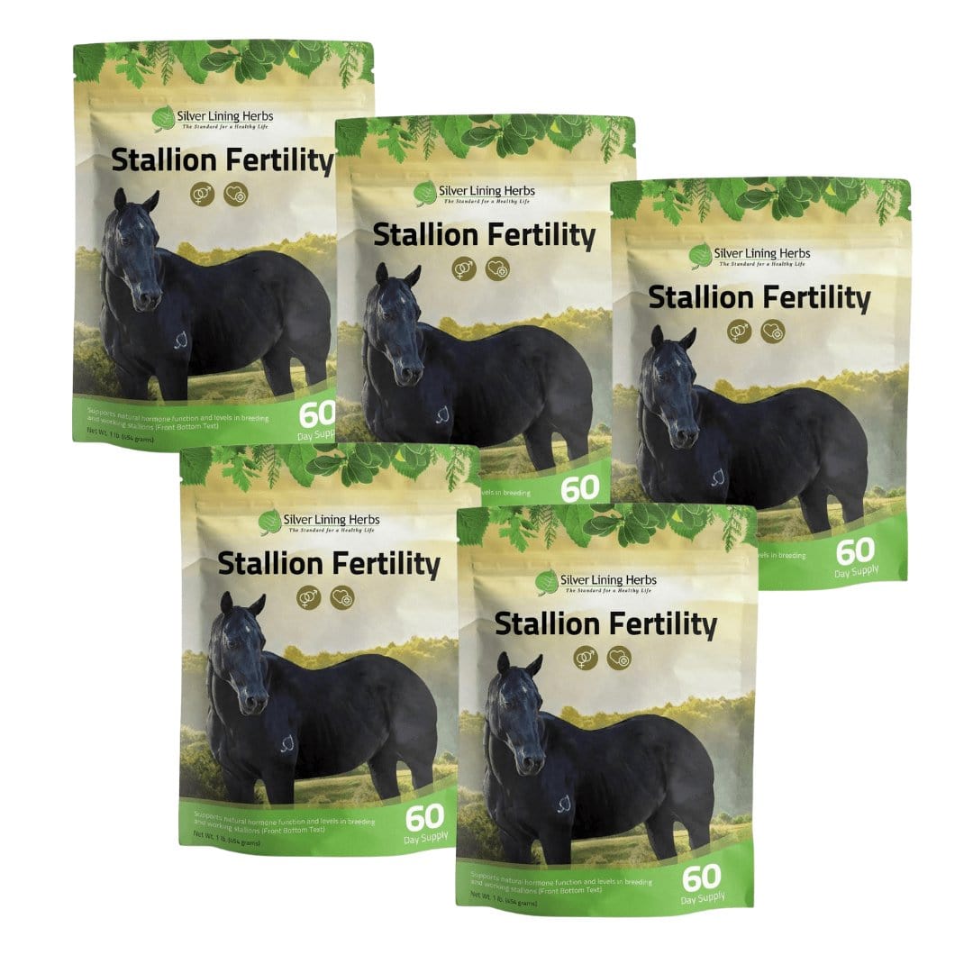 Stallion Fertility - Silver Lining Herbs