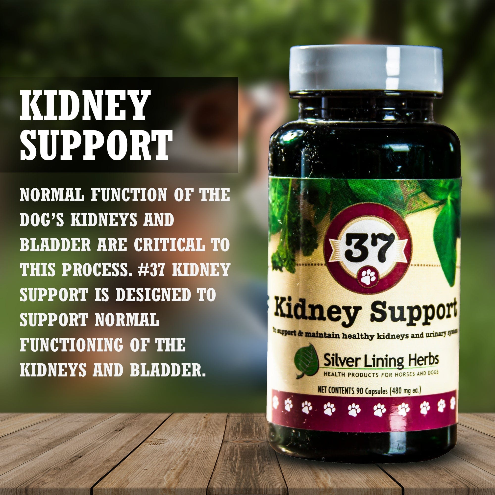 37 Kidney Support for Dogs 90 Capsule