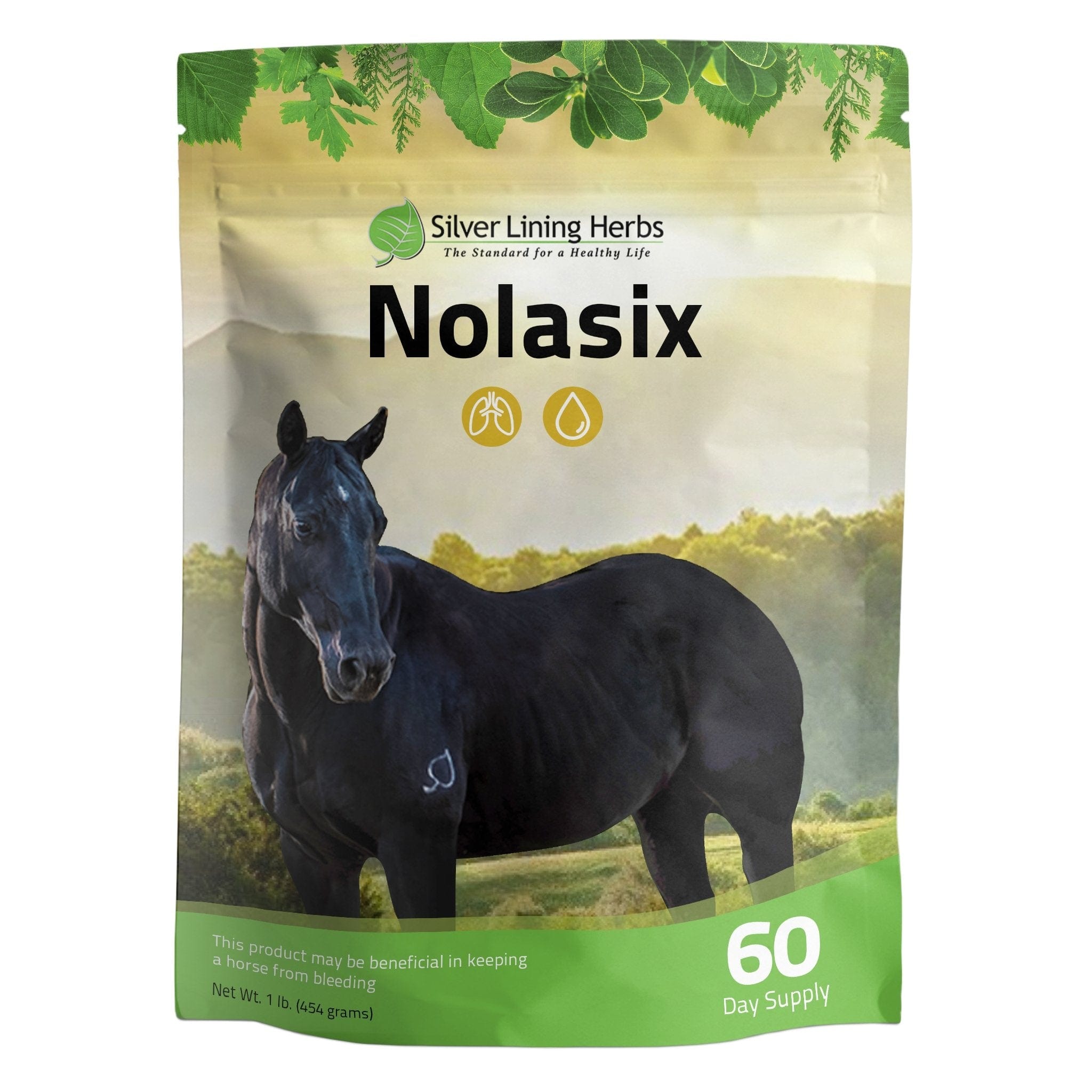 Nolasix for Horses - Silver Lining Herbs