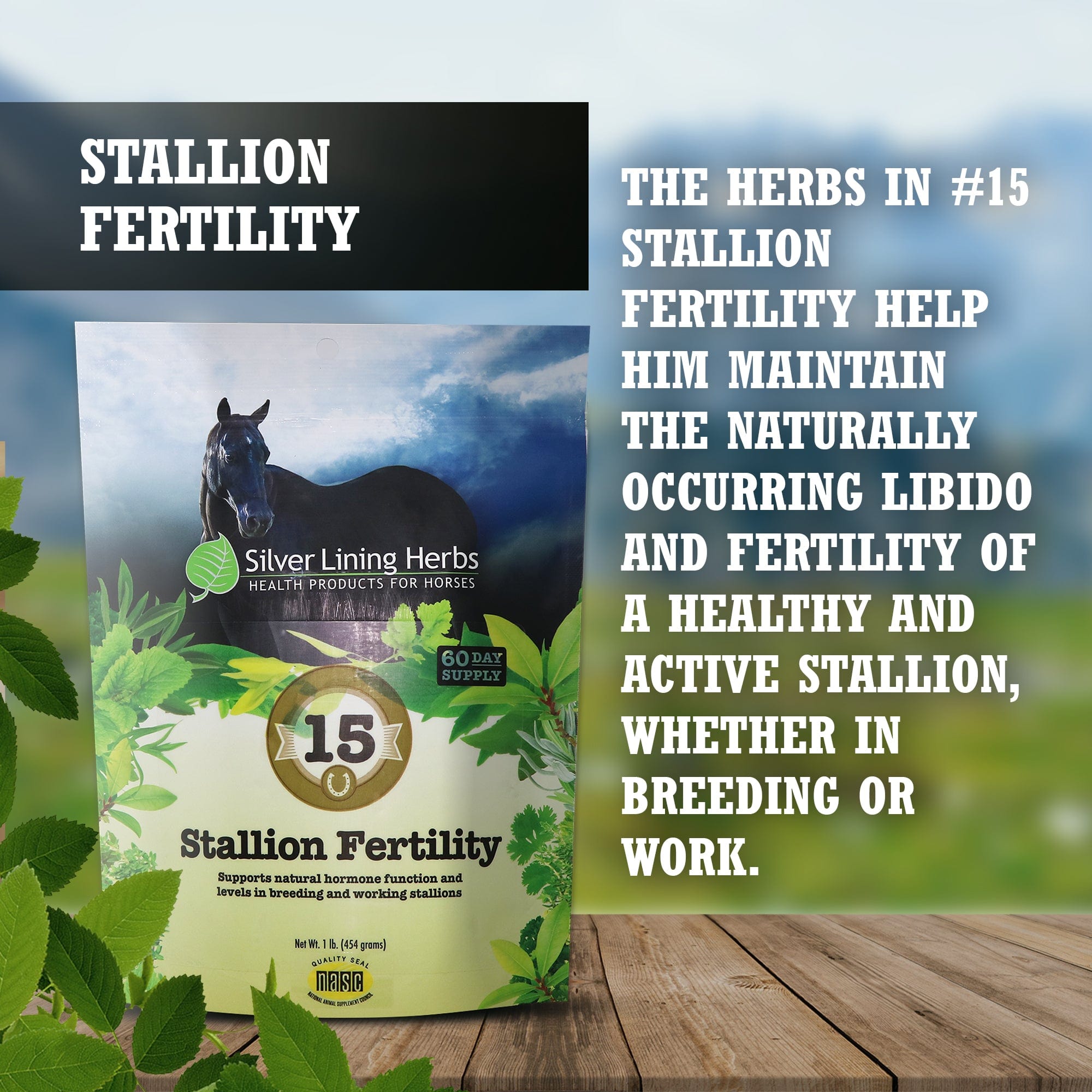 Stallion Fertility - Silver Lining Herbs