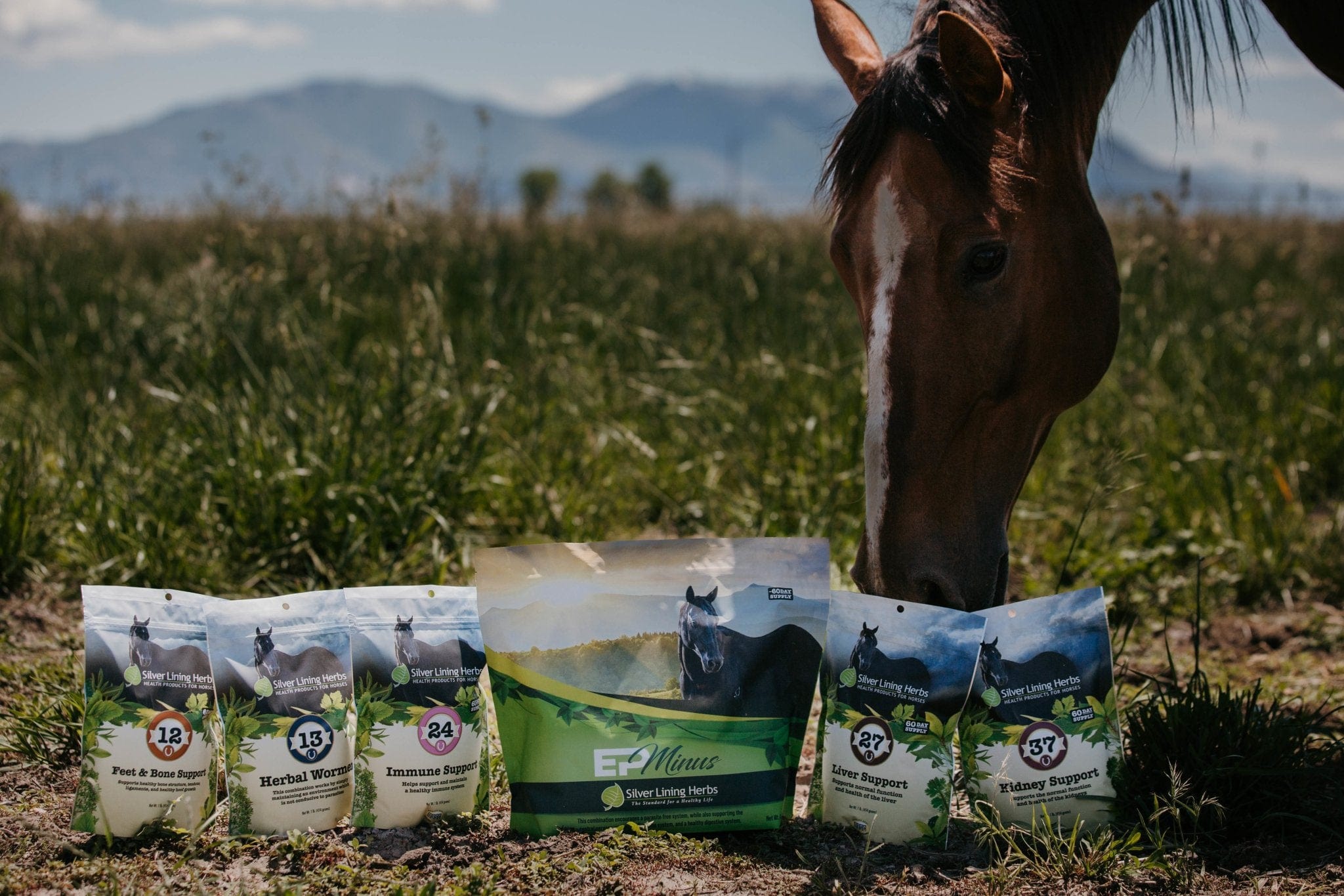 The Ultimate Equine Healthy Living Bundle - Silver Lining Herbs